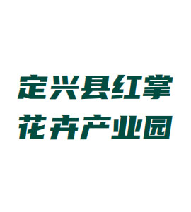 井陉定兴县红掌花卉产业园